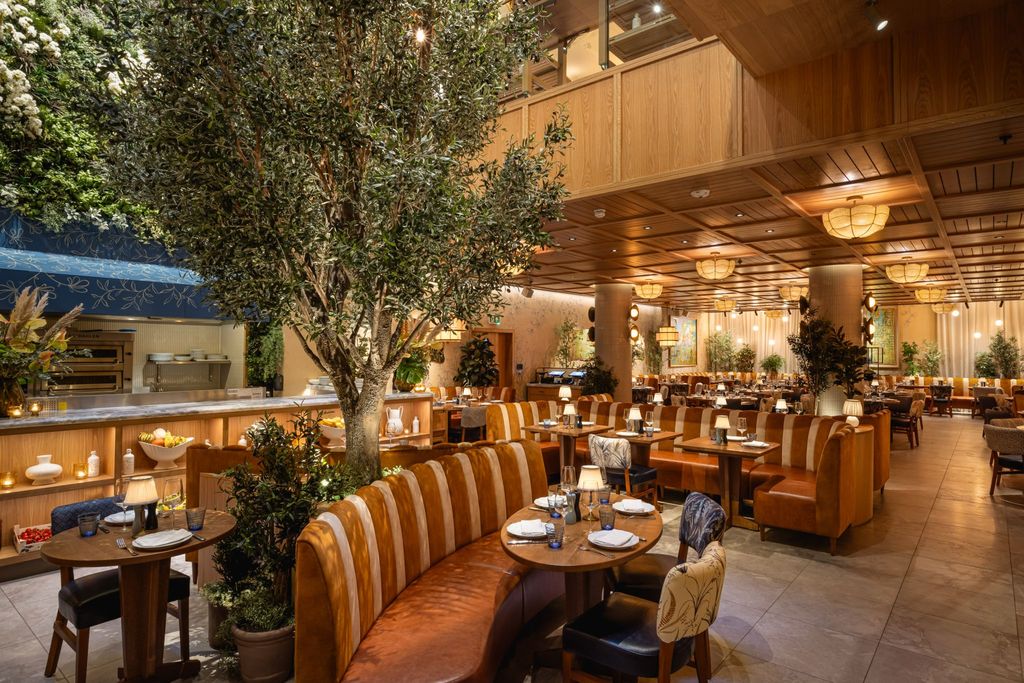 Phase one: LAVO at The BoTree, with olive tree, curved leather banquettes and timber-slatted ceiling