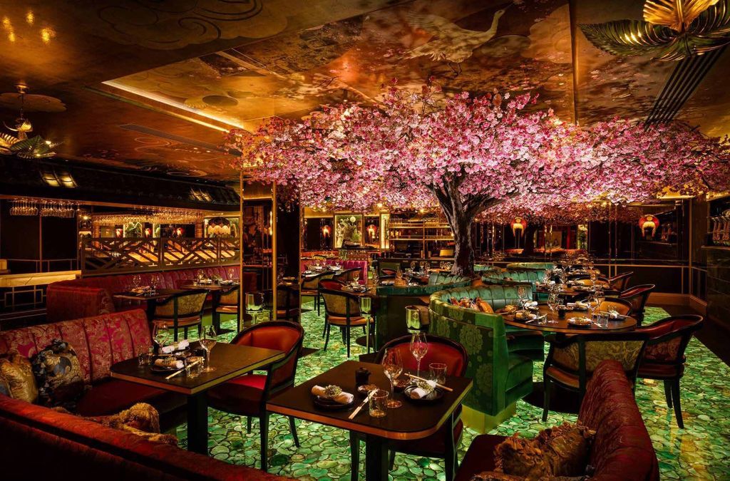 Ivy Asia Dublin dining room beneath a blossom tree and painted ceiling